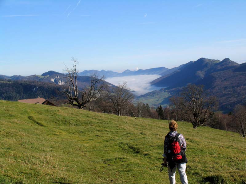 20 Nebelmeer im Thal