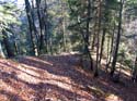 16 in Richtung
