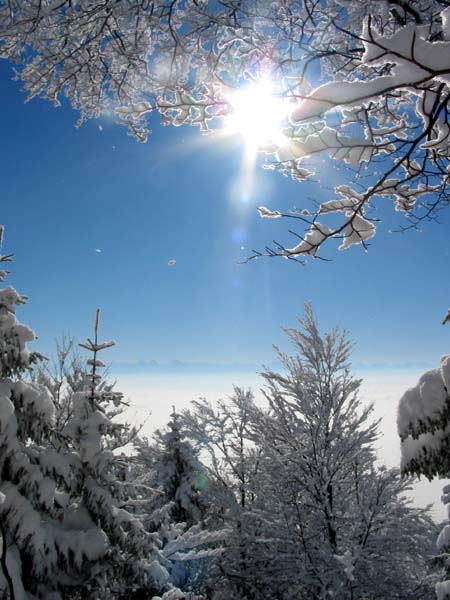 09_Blick_in_die_Berner_Alpen