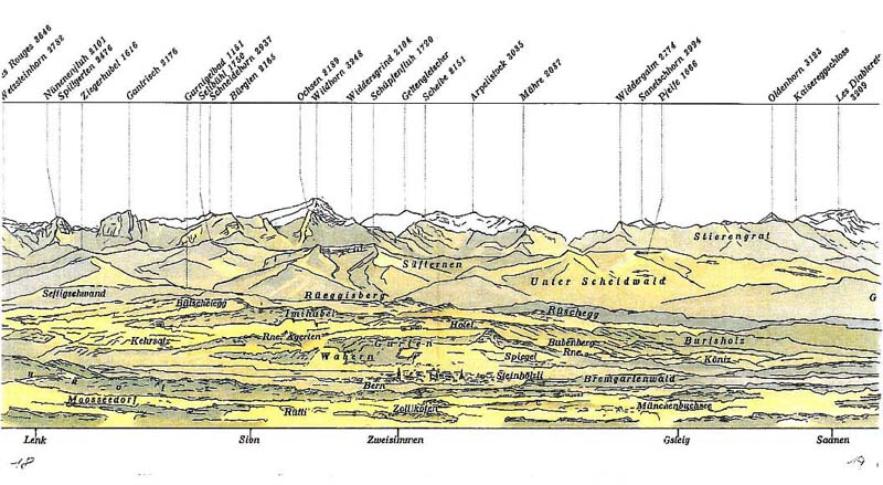 10 Wildhorn