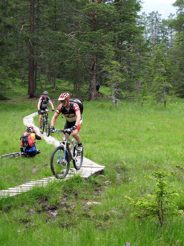 31a vor dem Schwarzsee