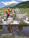 17q dr Roebi auf SWORKS