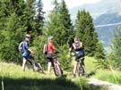 49 auf dem Lattenrost traversiert
