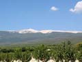 50 Mont Ventoux ab Fasson