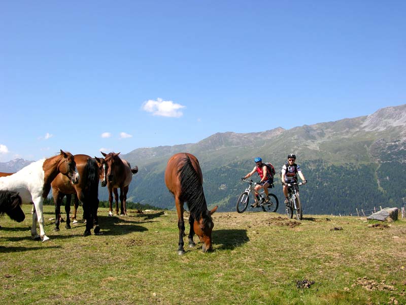 093_freie_fahrt