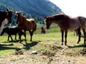 090_Revue_Schweiz_an_der_arbeit