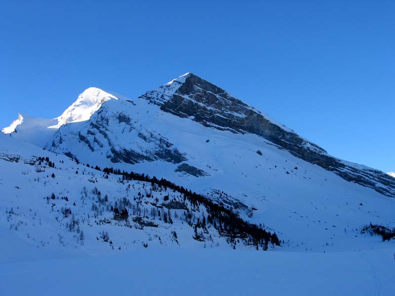 02_das_Rinderhorn_in_der_Sonne