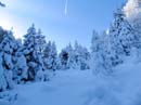 02_Vor_der_Nesselbodenroeti