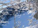 05_Nessenbodenroeti