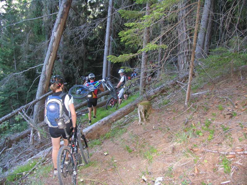 009_SingleTrail_oder_