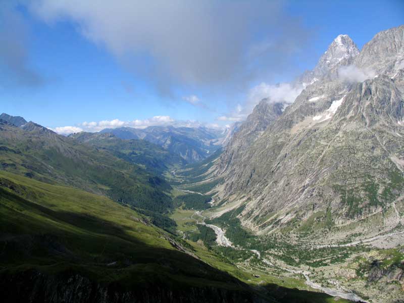 026_val_Ferret