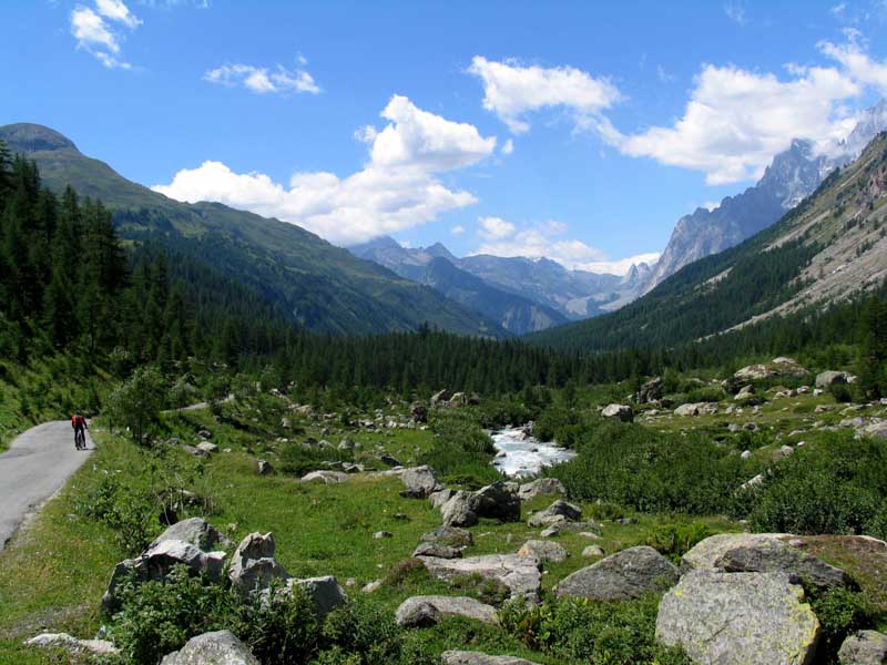 042_Val_Ferret