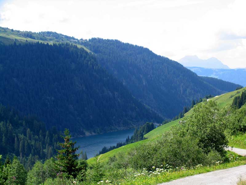 084_Single_Trail_hinunter_zum_Stausee