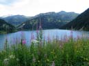 088_aber_auch_das_ist_schoeeen