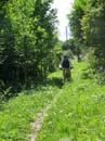 126_Hinunter_nach_Martigny