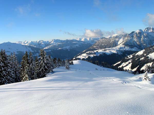 IMG_0094