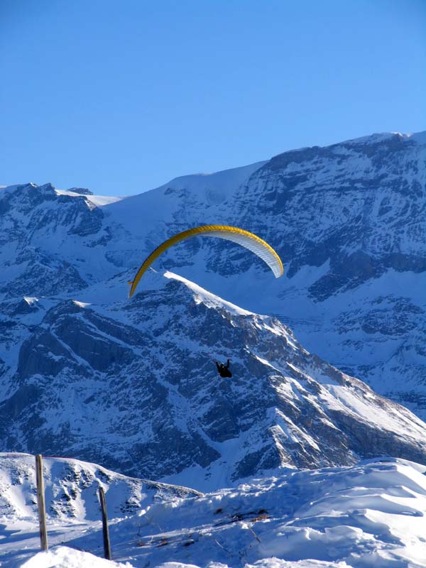 18 sucht den Aufwind ueber dem Schatthorn