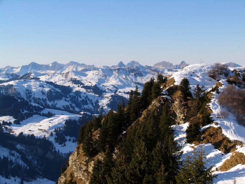 34 Schatthorn und die Freiburgeralpen