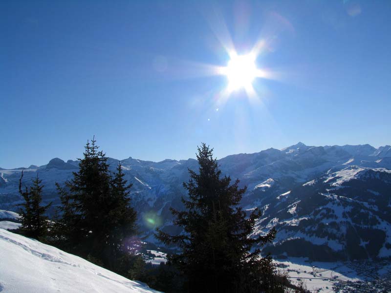 36 Wildhorn