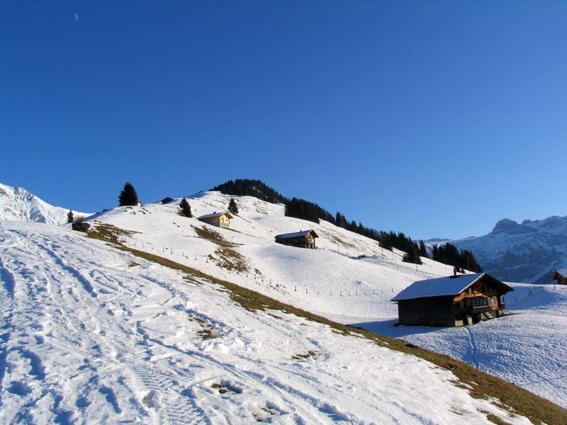 50 Gibel und Schatthorn