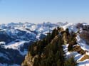 34 Schatthorn und die Freiburgeralpen