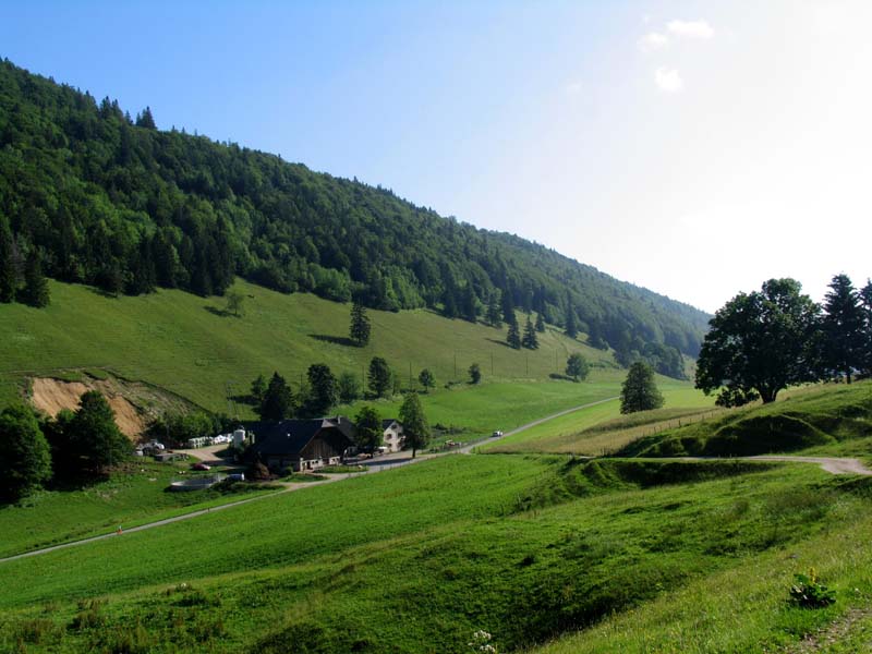 17_Binzberg