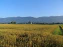 10_Start_in_Solothurn_mit_Blick_auf_die_Hasenmatte