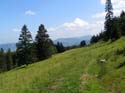 27_Trail_nach