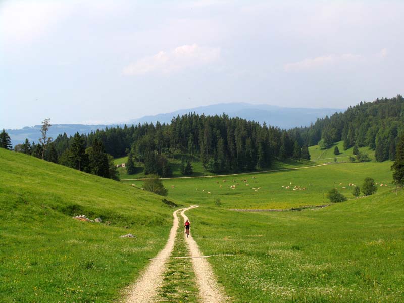 81_Hinunter_nach