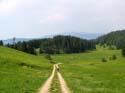81_Hinunter_nach