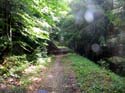 82_Lignerolle_Les_Clees
