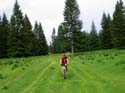 88_wau_so_schoen_wie_ein_Golfplatz