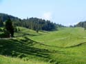 92_Combe_des_Amburnex