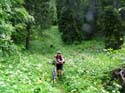 93_der_Weg_muss_gesucht_werden