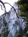 AUT_4078