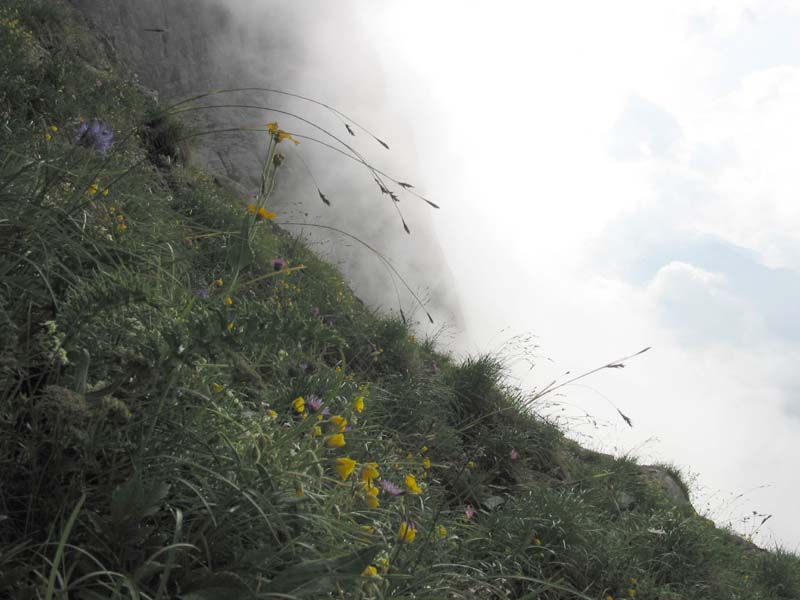 20_und_der_Nebel_kommt