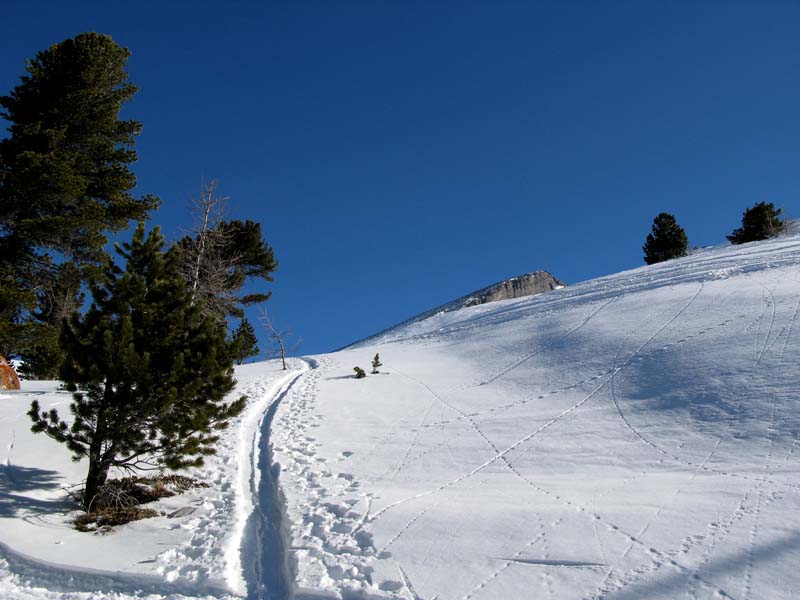 10 im Aufstieg zum Altels und Tatelishorn
