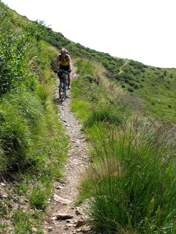 73_Trail