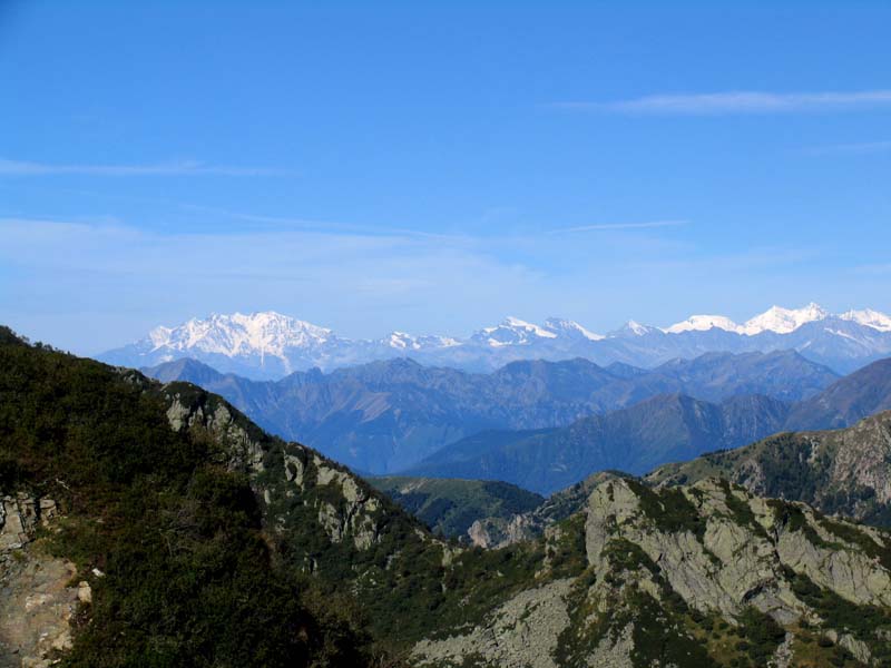 11 Monte Rosa vor unseren Augen