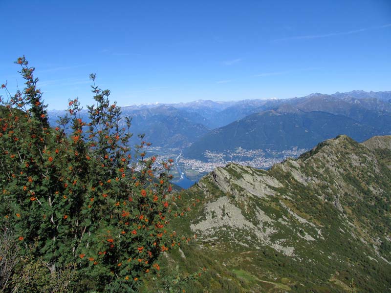 16 Blick auf Locarno Ascona
