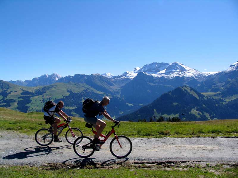 05_Wildstrubel_im_Hintergrund