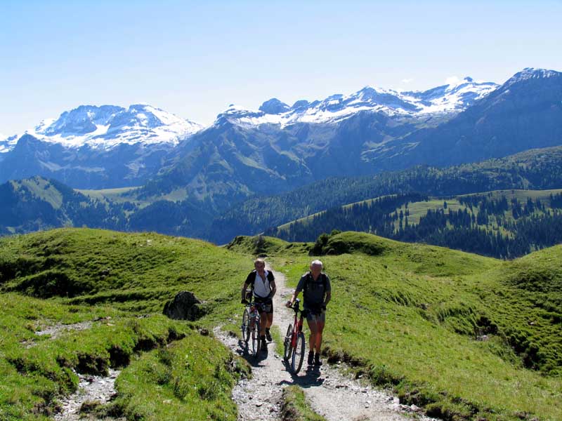 06_hinauf_zum_Truetlisbergpass