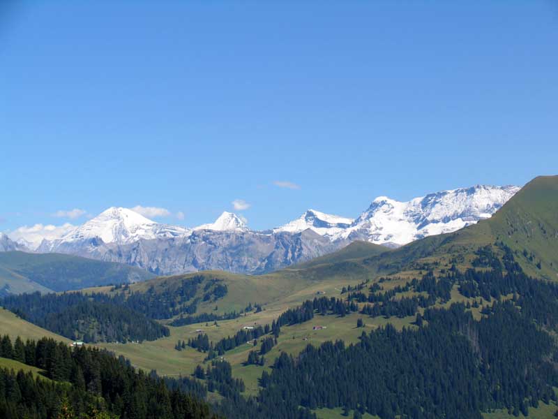 26_Altels_Rinderhorn_Steghorn_Wildstrubel