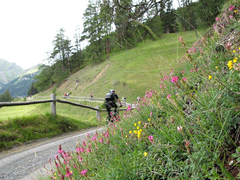 22 von Vna hinauf nach Pra San Peder