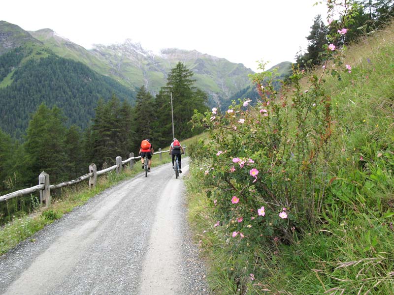 23 Blumenpracht und sMeiers
