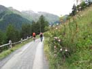 23 Blumenpracht und sMeiers