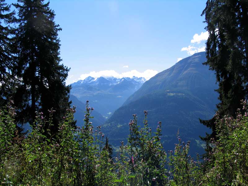 03_Blick_ins_Binntal