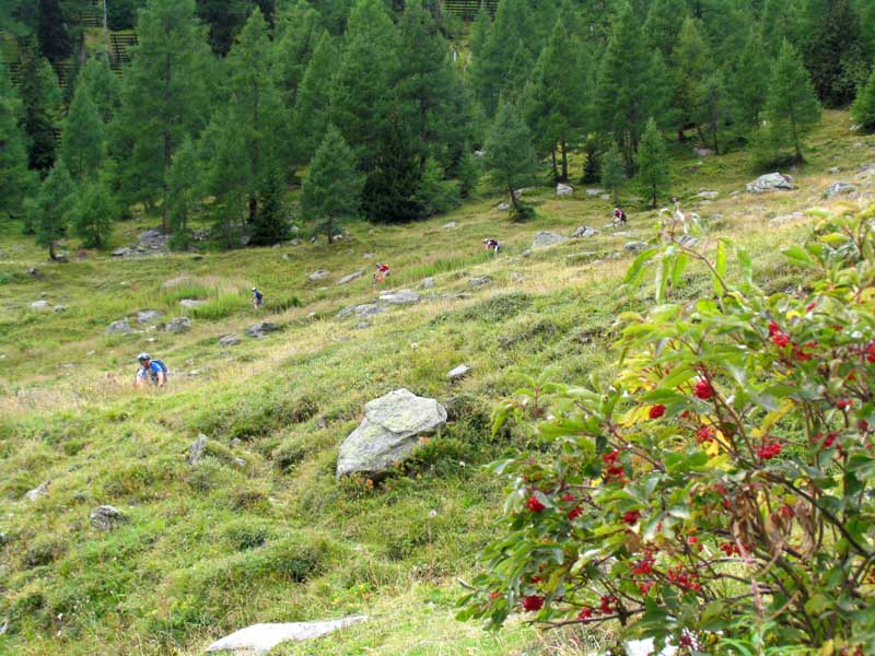 20_vor_dem_Schwarzsee