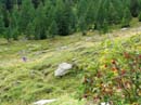 20_vor_dem_Schwarzsee