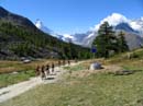 38_gehts_weiter_in_Richtung_Riffelalp